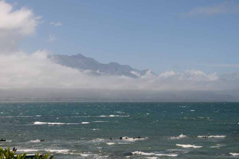 Nieuw-Zeeland 2011 - 1117